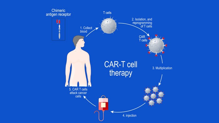 Overview of Key Earlyphase CAR Tcell Therapy Studies in