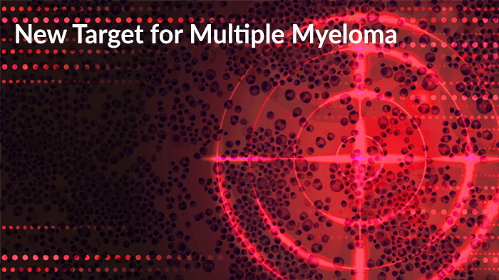 New Target for Multiple Myeloma
